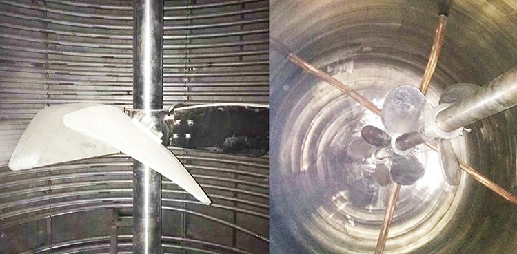 好色视频在线观看器