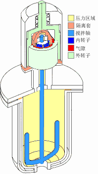 好色视频在线观看器